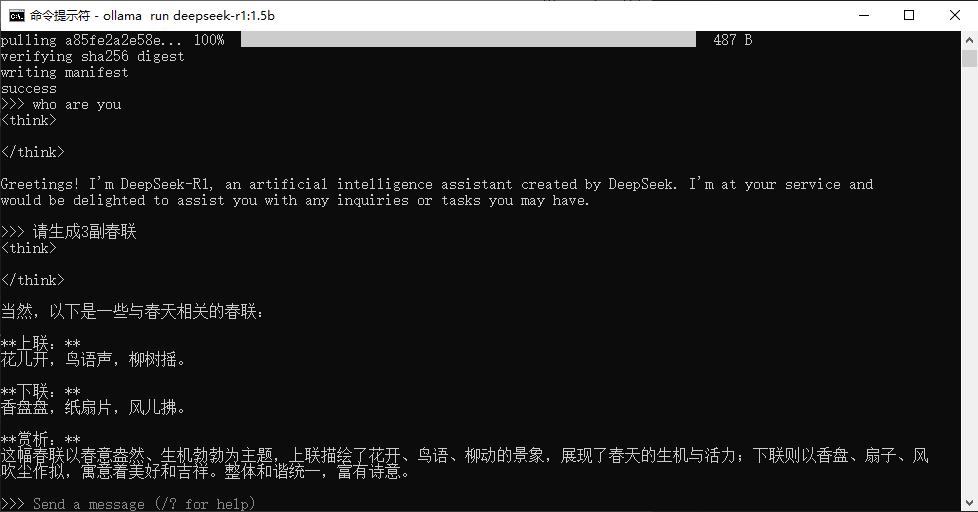 命令行使用效果